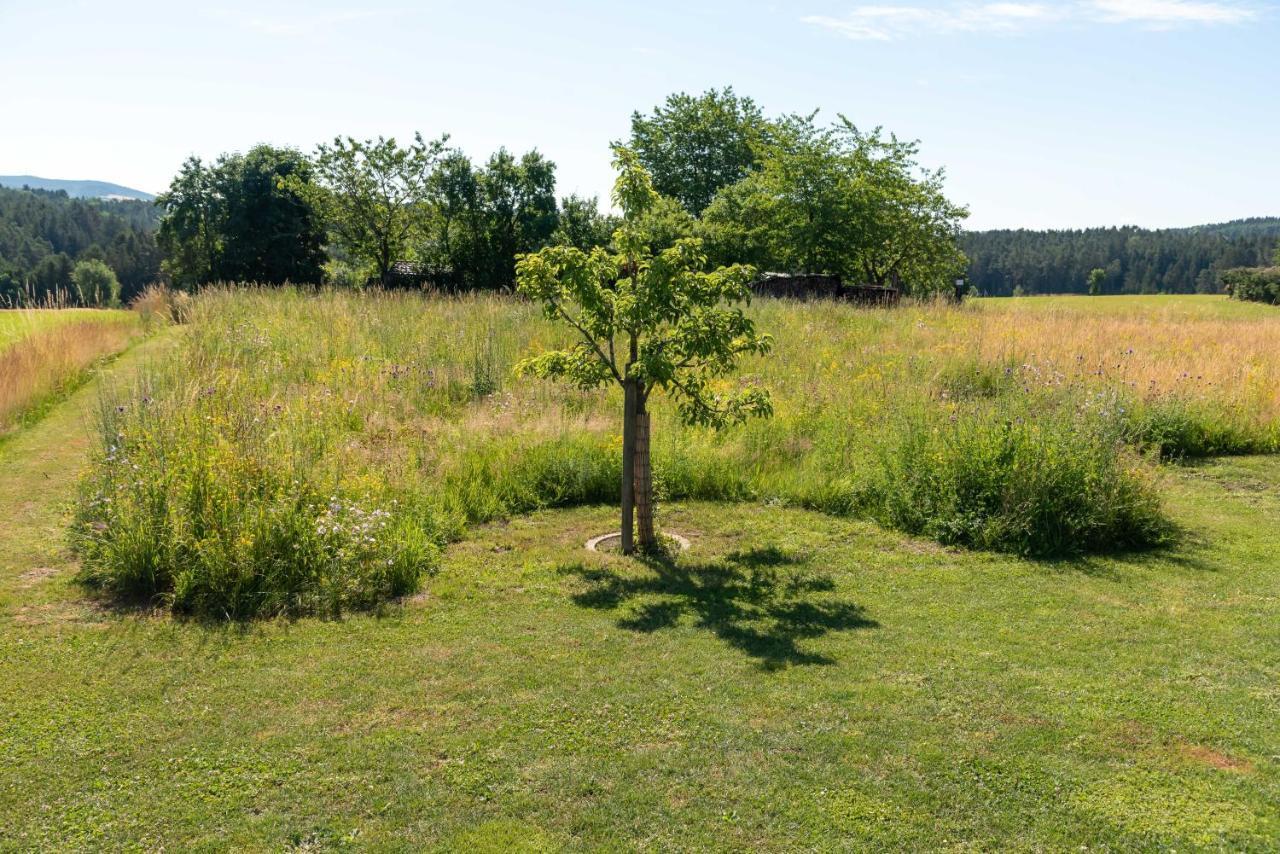 Moderne, Gemütliche Dg-wohnung In Ruhiger Lage Neunburg vorm Wald